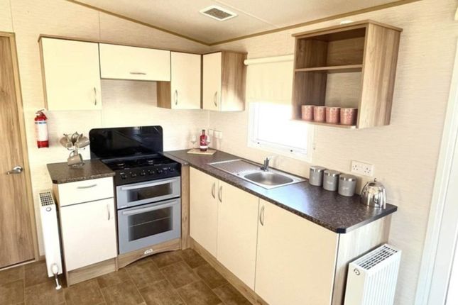 Abi Liberty, Abergele photo 3