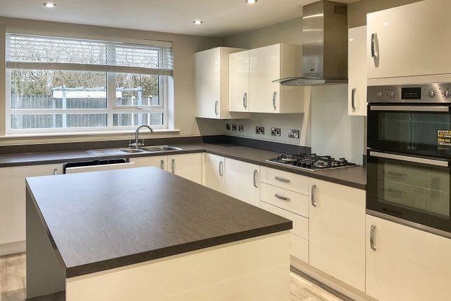 Kitchen/ Dining/ Family Room