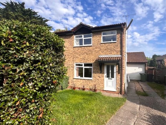 Thumbnail Detached house to rent in Lovage Way, Horndean, Waterlooville, Hampshire