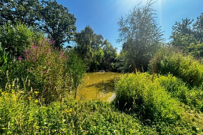 Kantara, Maidstone photo 2