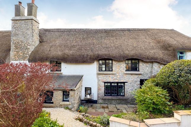 Thatchings, Newton Abbot photo 2