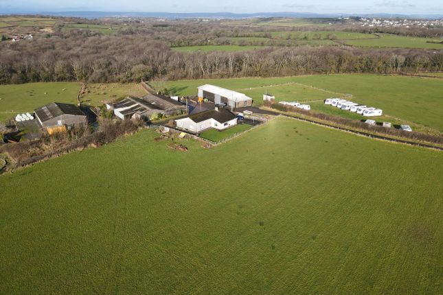 Fairwood Corner Farm, Fairwood, Swansea photo 3