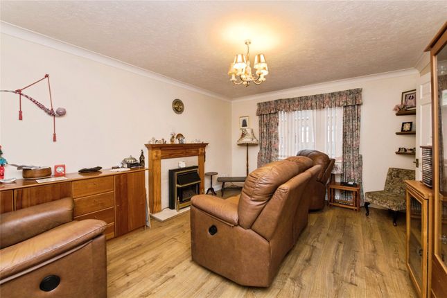 50, Ivydale, Devon photo 2