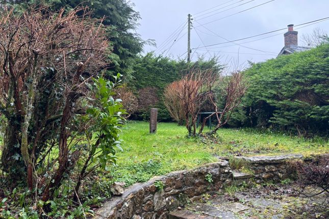 Coombses Cottage, Lower Coombses, Chard photo 2
