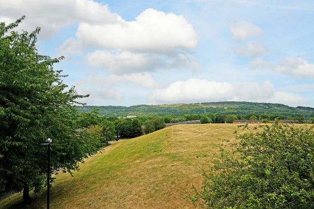41, Burnaby Green, Sheffield photo 4