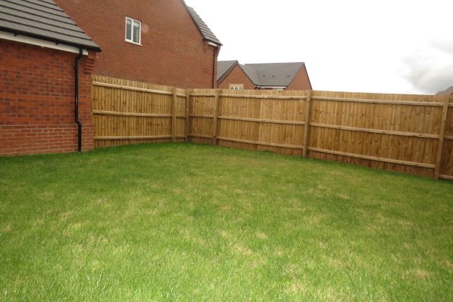 9, Warwick photo 4