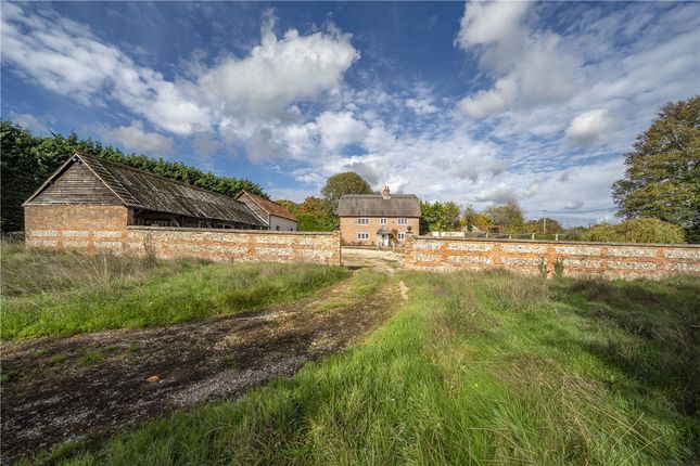 Charlton Down Farm,, Charlton Down, Hampshire photo 2