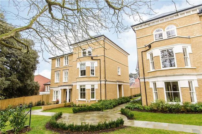 Semi-detached house to rent in Folly Hill Gardens, Maidenhead, Berkshire