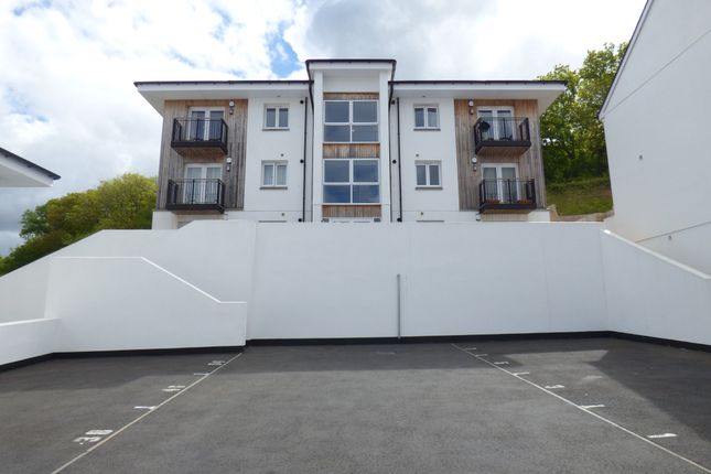 Thumbnail Flat to rent in Saddleback Close, Ogwell, Newton Abbot