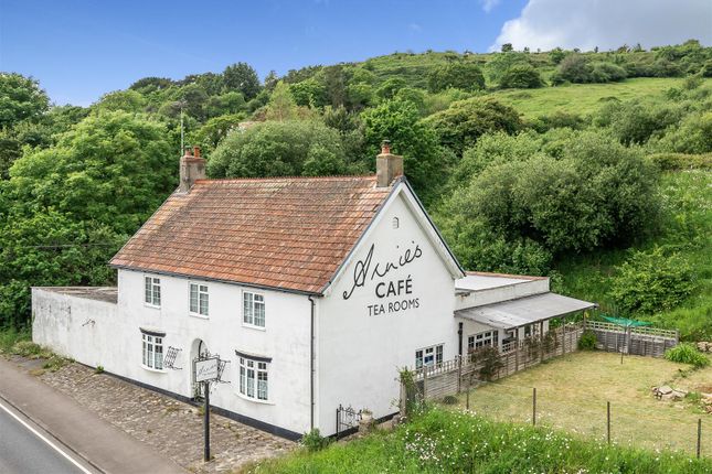 Thumbnail Leisure/hospitality for sale in Morcombelake, Bridport