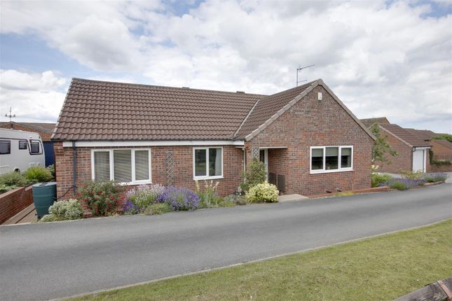 Thumbnail Detached bungalow for sale in Shepherds Close, Beverley