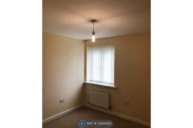 Park Lodge, Cooke St Bentley, Doncaster photo 5