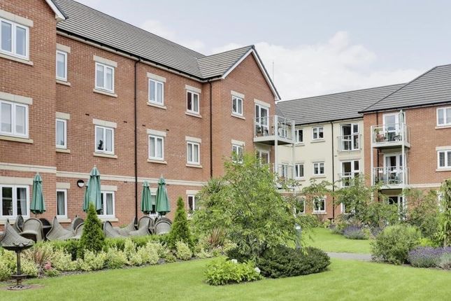 6, Quorn photo 3