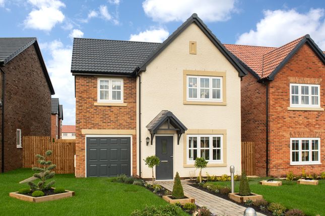 Thumbnail Detached house for sale in "Butler" at Ruswarp Drive, Sunderland