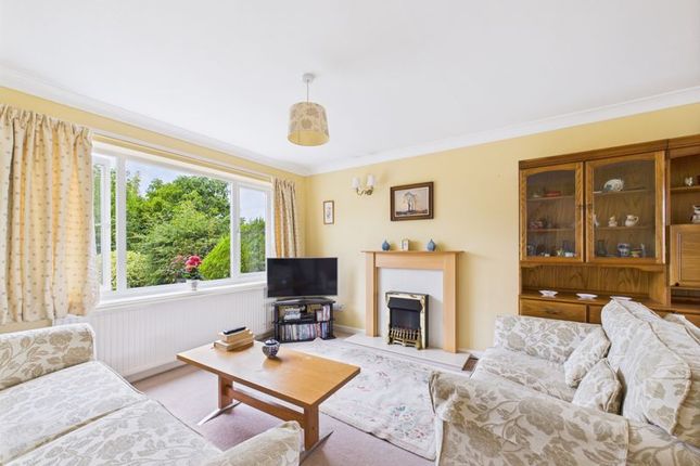 11, Laburnum Drive, Somerton photo 2
