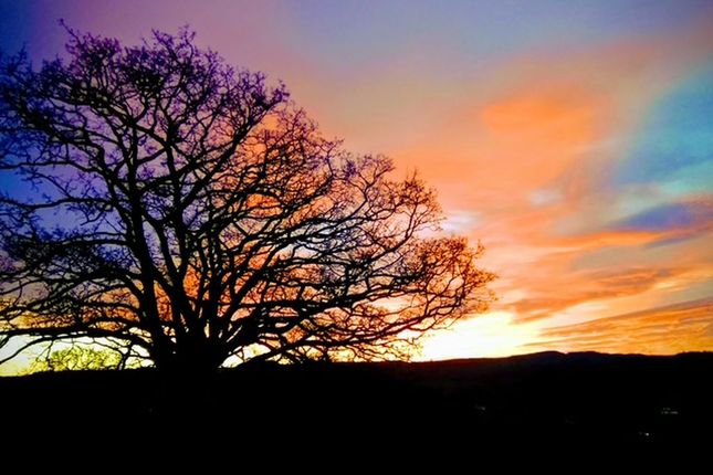 Seguryn Fawr, Llandudno Junction photo 3
