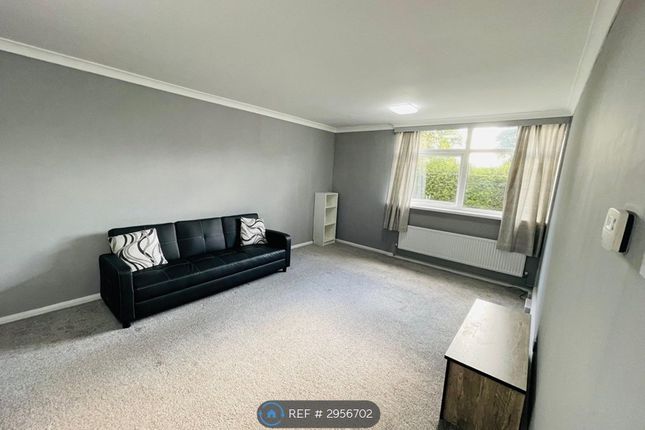 Haydock Avenue, Sale photo 3
