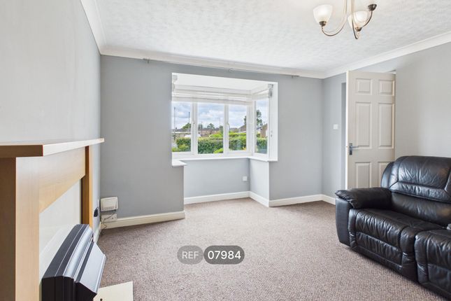 Brevere Road, Hull photo 3