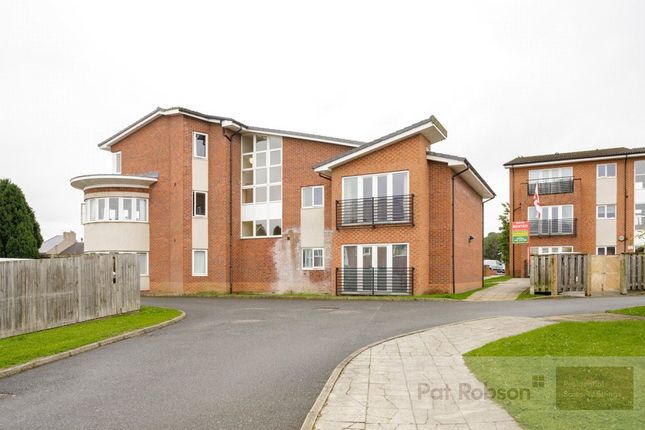 7, Pickering Place, Durham photo 2