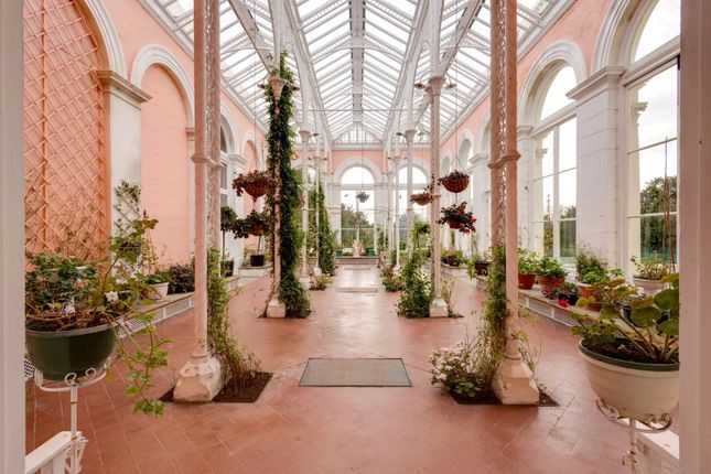 Orangery