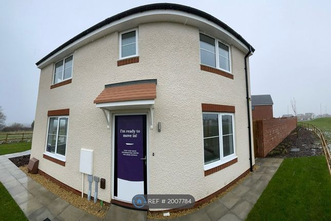 Thumbnail Semi-detached house to rent in Pleasington Grove, Sunderland