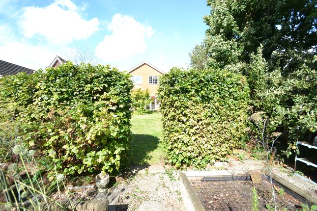 View Back To Property