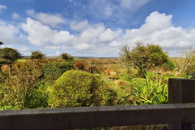 Thumbnail Bungalow for sale in Lamorna, Penzance