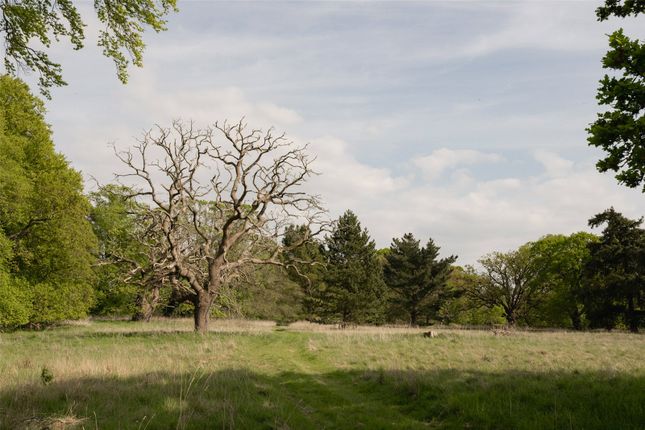 Grounds