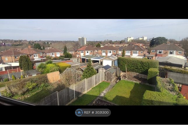 Haldon Grove, Birmingham photo 2