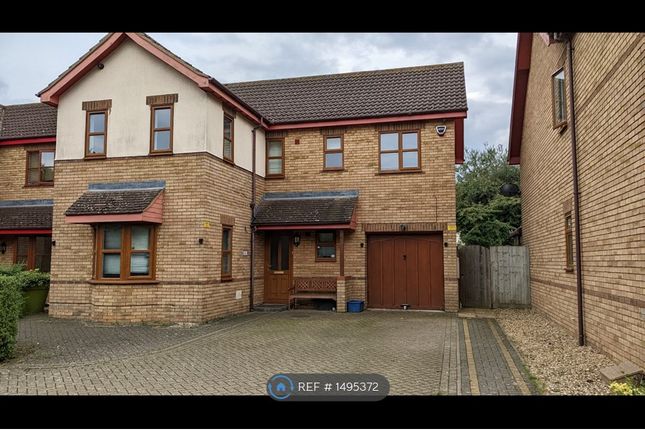 Thumbnail Detached house to rent in Pastern Place, Downs Barn, Milton Keynes