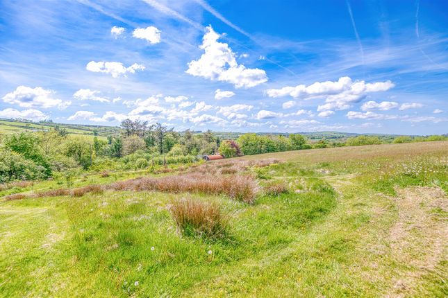 Views Of Top Field