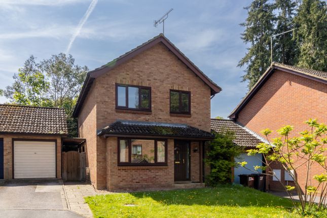 Thumbnail Link-detached house to rent in 35 Beech Road, Alresford, Hampshire