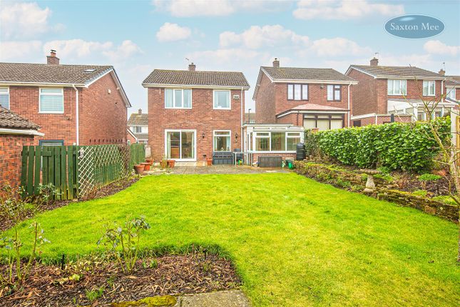 10, St George Road, Sheffield photo 3