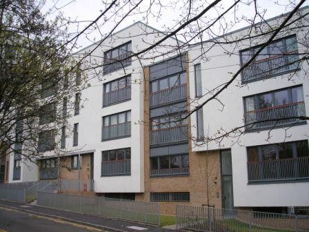 Thumbnail Flat to rent in Great Dovehill, Glasgow