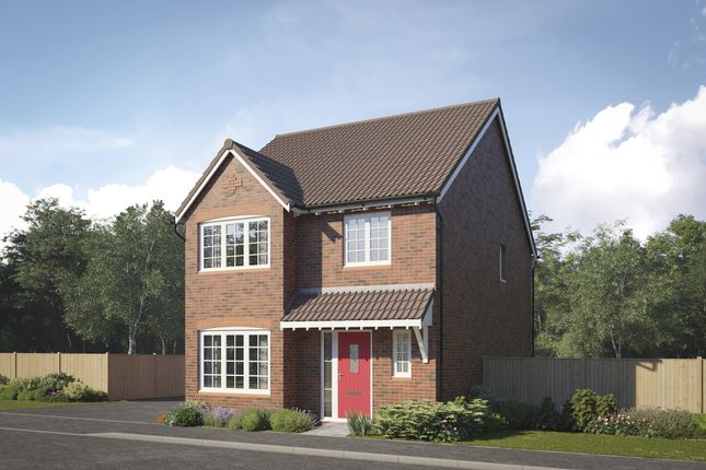 Thumbnail Detached house for sale in "The Scrivener" at Yew Tree Park, Gipsy Lane, Nuneaton