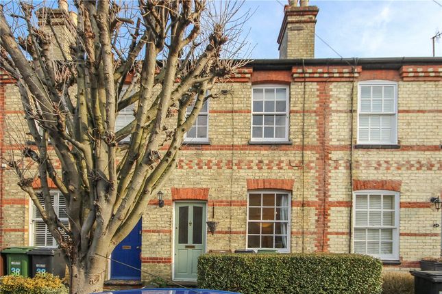 Thumbnail Terraced house for sale in Oster Street, St.Albans