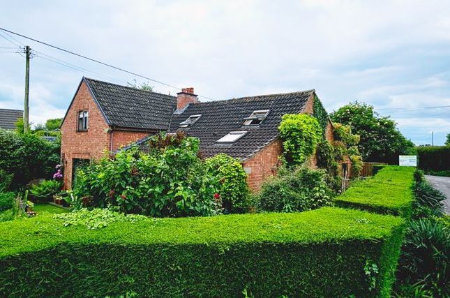 Thumbnail Cottage for sale in Birch Hill Road, Clehonger, Hereford