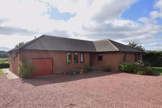 Thumbnail Detached bungalow for sale in The Beeches, 2 Boghall Road, Biggar