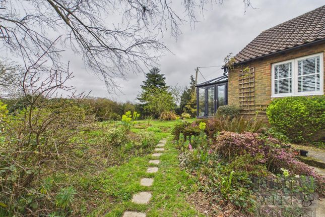 Wilbram, Briar Close, Fairlight photo 2