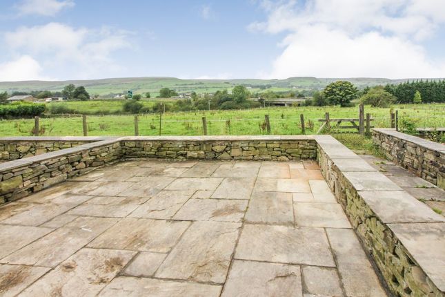 Rear Patio