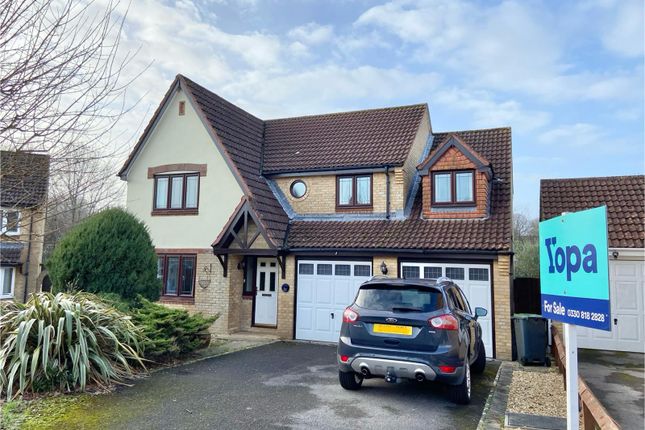 Thumbnail Detached house for sale in Thorne Close, Verwood