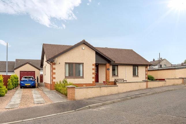 Thumbnail Bungalow for sale in Lintie Croft, Forfar, Angus