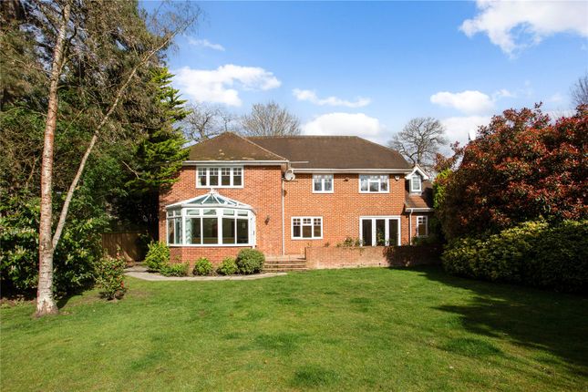 Detached house for sale in Sandy Lane, Cobham, Surrey