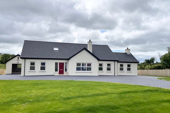 Thumbnail Detached house for sale in Cabragh Road, Dungannon