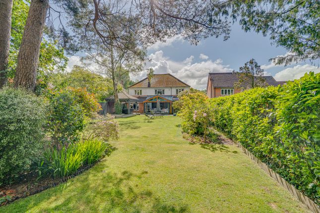 8 Malibres Road, Hampshire photo 3