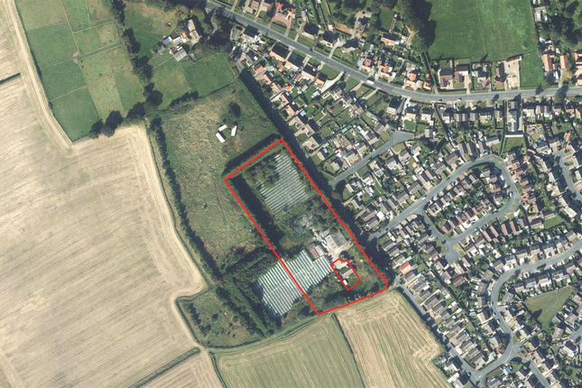 Thumbnail Land for sale in Sands Lane, Holme On Spalding Moor, York