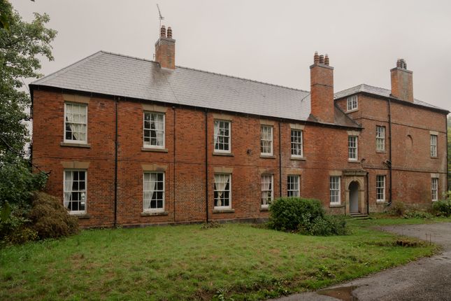 311706 - _A740285.Jpg