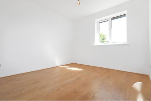 Halifield Drive, Belvedere photo 5