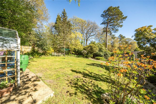 5, Pine Bank, Surrey photo 2