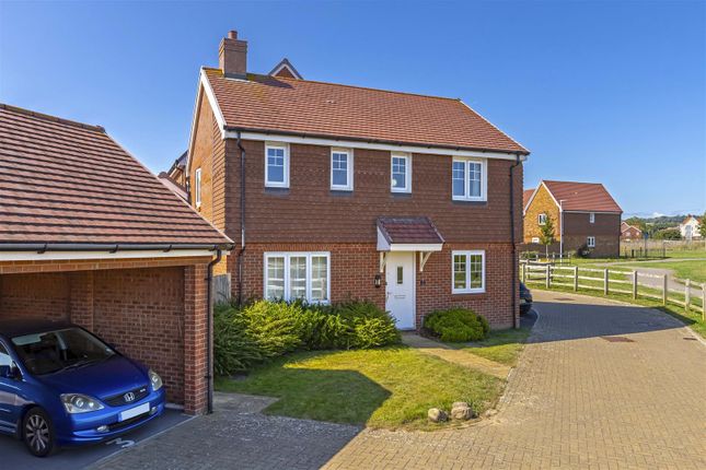 Thumbnail Detached house for sale in Violet Close, Worthing